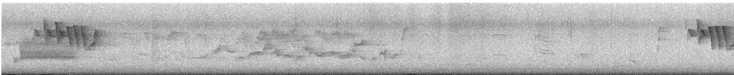 Yellow Warbler (Northern) - ML618834691