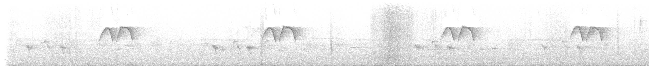 gråhakemønjefugl (solaris gr.) - ML618840040