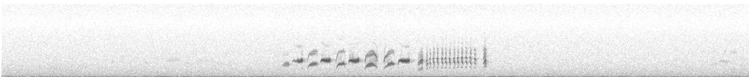 Western Orphean Warbler - ML618842530