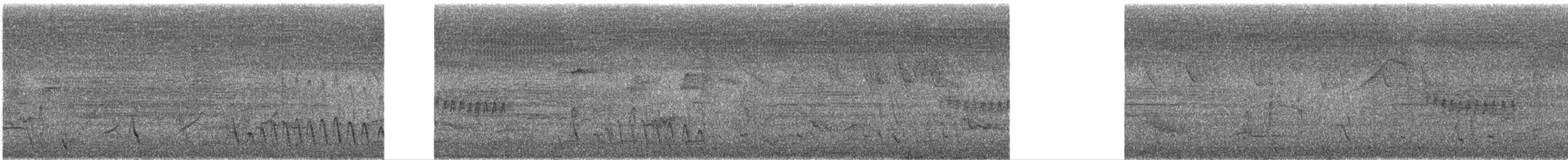 Сероголовая чачалака - ML618843979