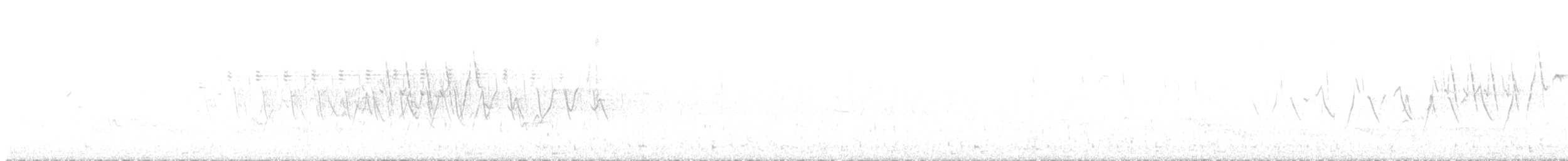 Common Yellowthroat - ML618844559