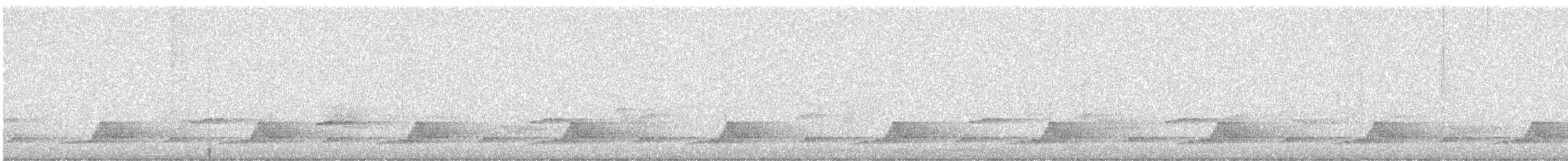 Schwarzkehl-Nachtschwalbe - ML618847259