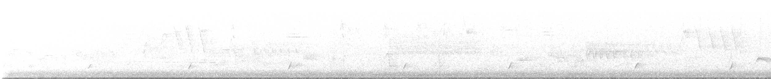 Дрізд-короткодзьоб Cвенсона - ML618847463