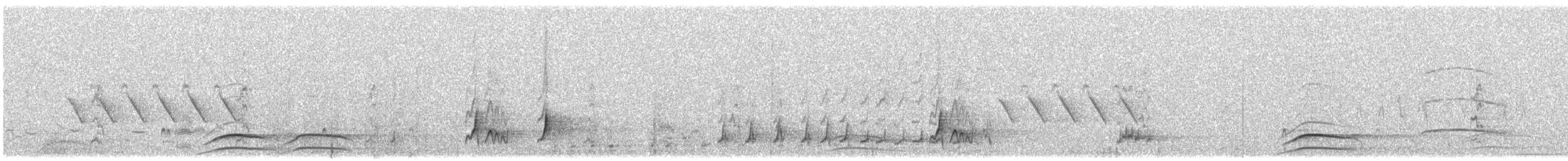 Brown-crested Flycatcher (Arizona) - ML618848277