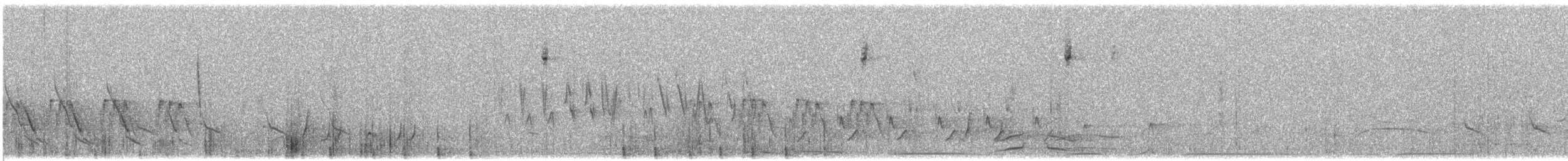 new world warbler sp. - ML618848402