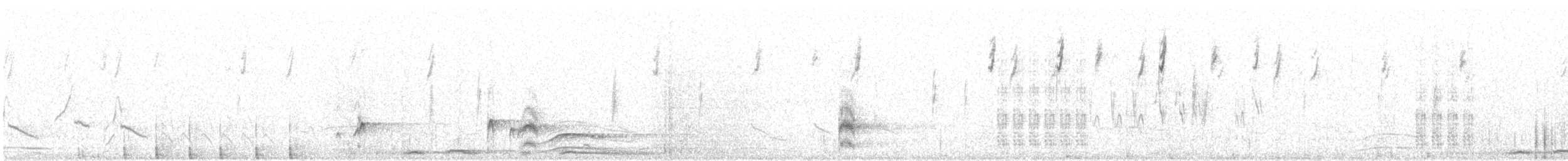 new world warbler sp. - ML618848406