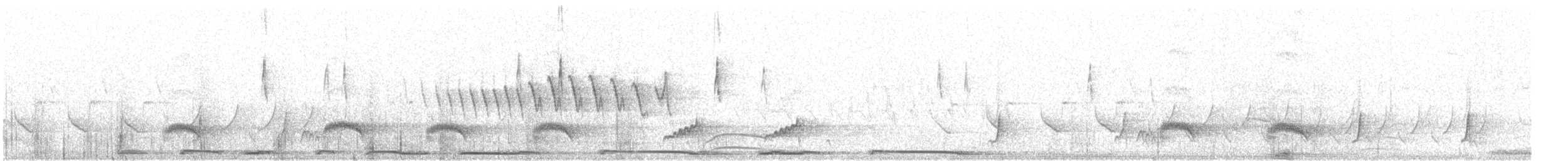 new world warbler sp. - ML618848408