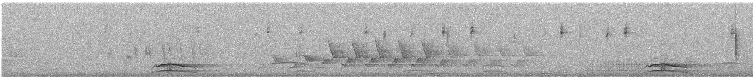 new world warbler sp. - ML618848410