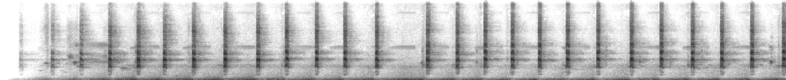 chřástal atlantický (ssp. saturatus/scottii) - ML618854128