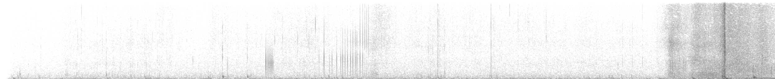 Американская лысуха (Red-shielded) - ML618859440