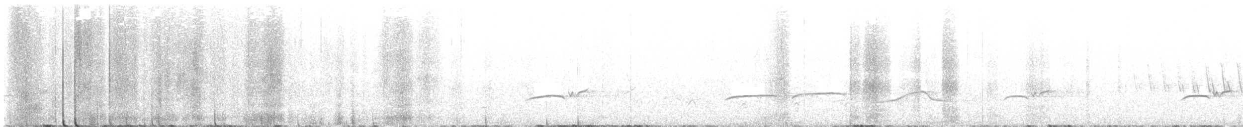 Greater Pewee - ML618859572