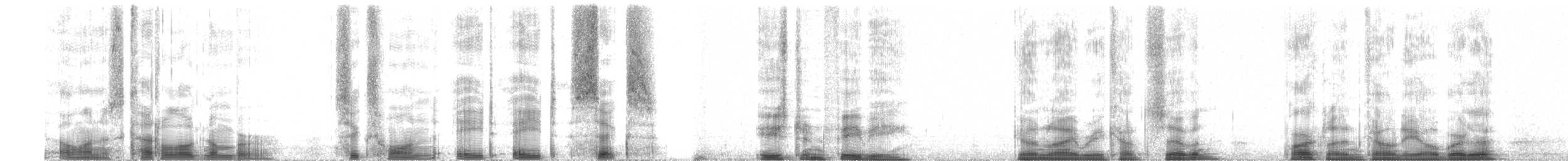 Eastern Phoebe - ML61886