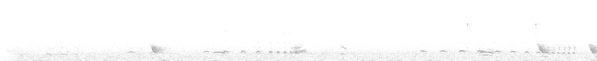 Olivgrau-Ameisenvogel - ML618865845