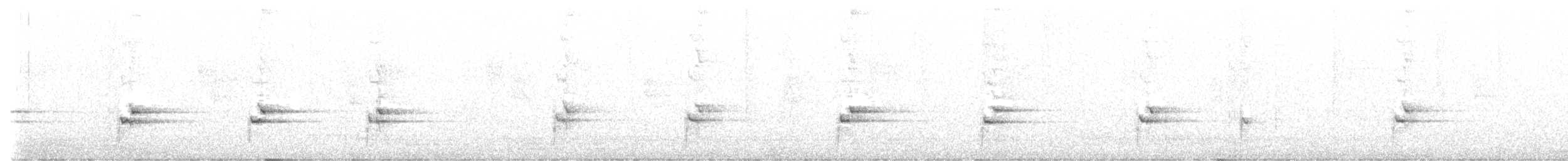 Troglodyte à poitrine blanche - ML618866974