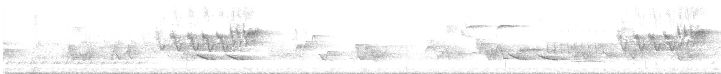 Cerulean Warbler - ML618870052