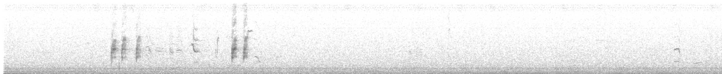 Weißbinden-Spottdrossel - ML618870639