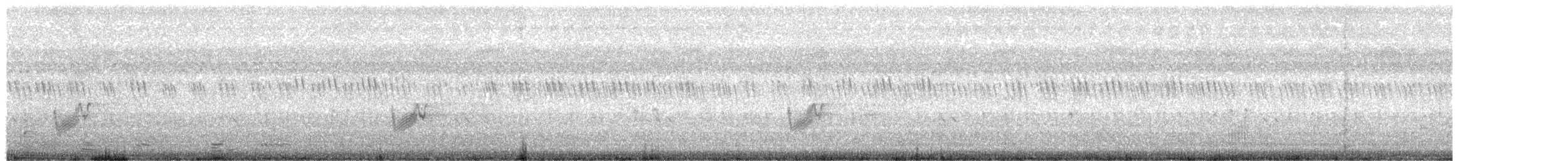 Savannennachtschwalbe [affinis-Gruppe] - ML618875001