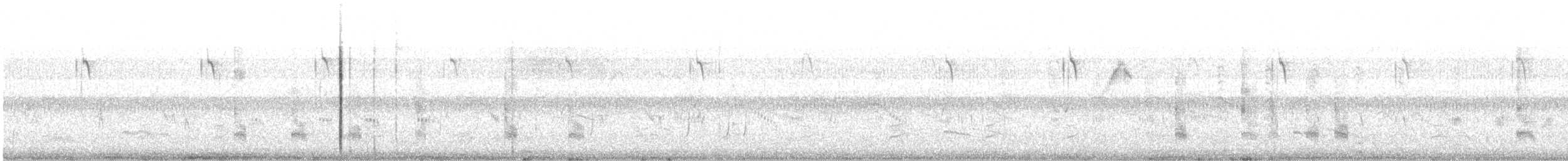 Weißbart-Seeschwalbe - ML618879336
