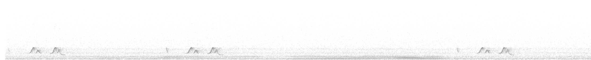 Carolinanachtschwalbe - ML618880204