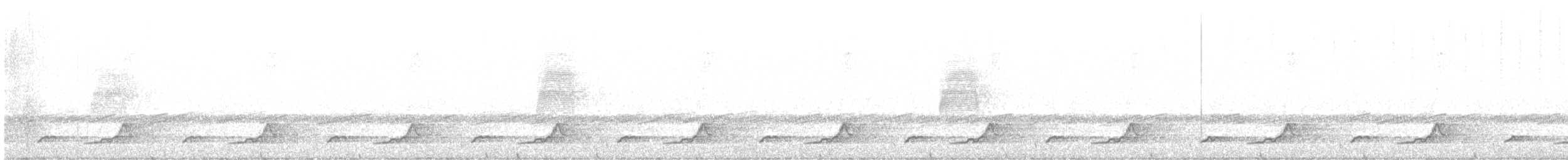 Schwarzkehl-Nachtschwalbe - ML618883756