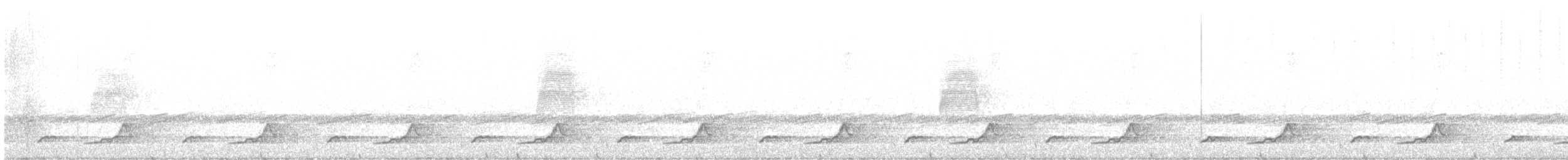 Eastern Whip-poor-will - ML618883756