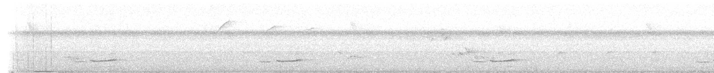 Black-and-white Tody-Flycatcher - ML618884699