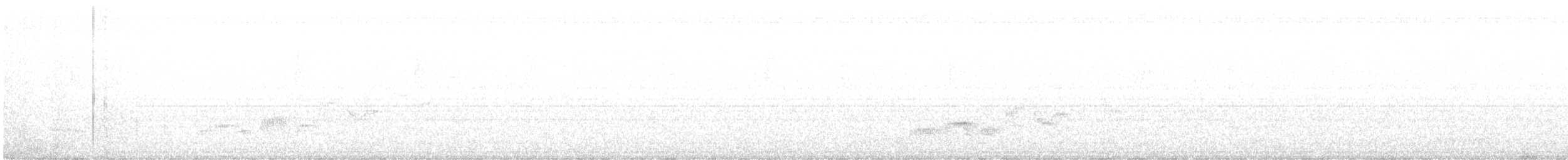 Дрізд-короткодзьоб Cвенсона - ML618887076