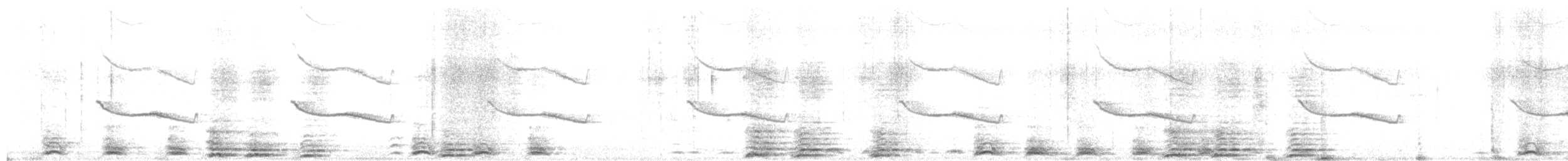 Breitspiegel-Nachtschwalbe - ML618887749