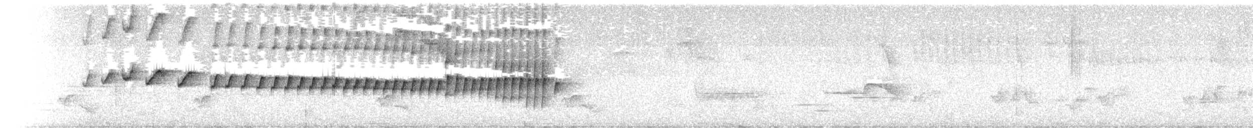 Светлогорлый тенелюб - ML618889449