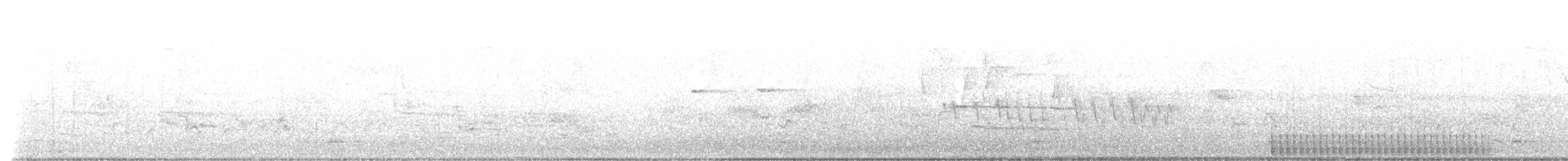 Шилоклювый дятел (auratus/luteus) - ML618889537