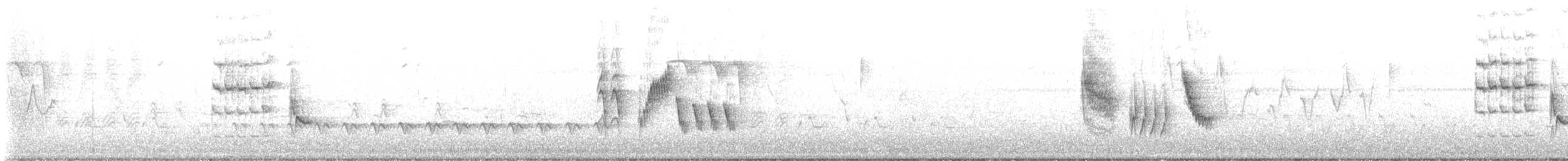 Black-capped Vireo - ML618891188