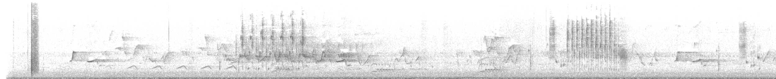 ハシナガヌマミソサザイ - ML618891915