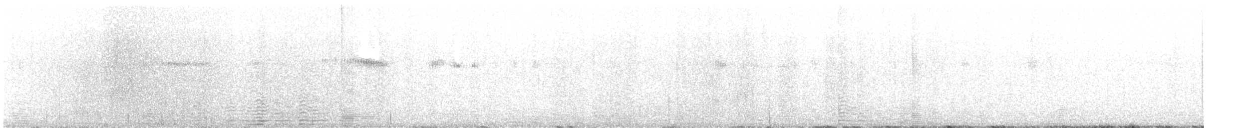 Широкохвостый колибри - ML618892404