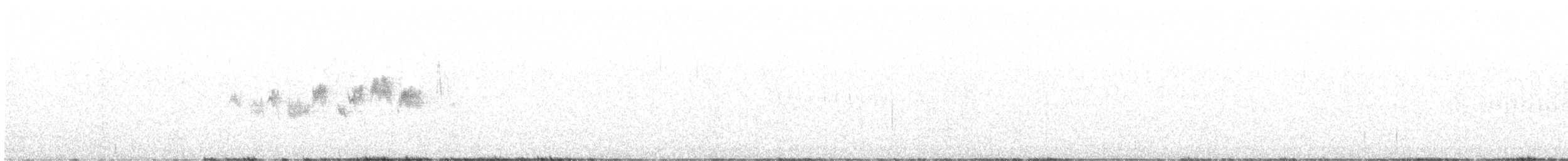 Black-throated Gray Warbler - ML618892553