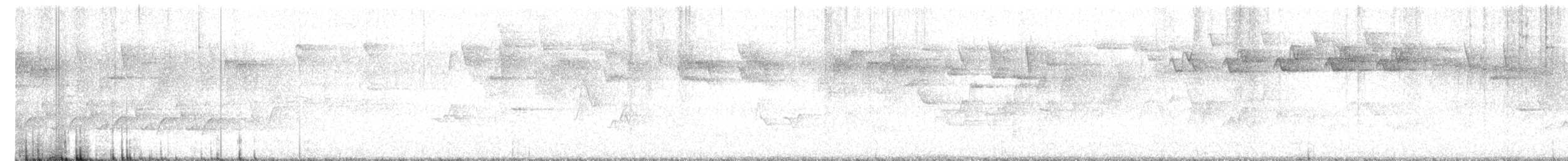 Bay-breasted Warbler - ML618892846