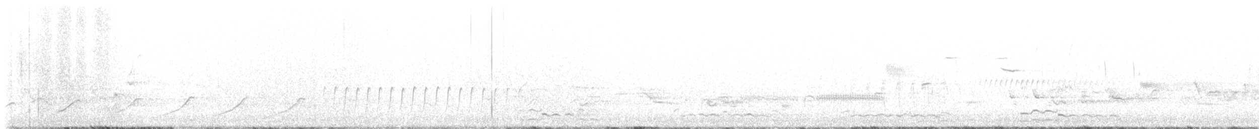 Plongeon huard - ML618893303