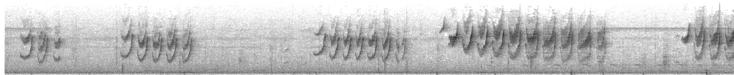 Ornate Stipplethroat - ML618895032