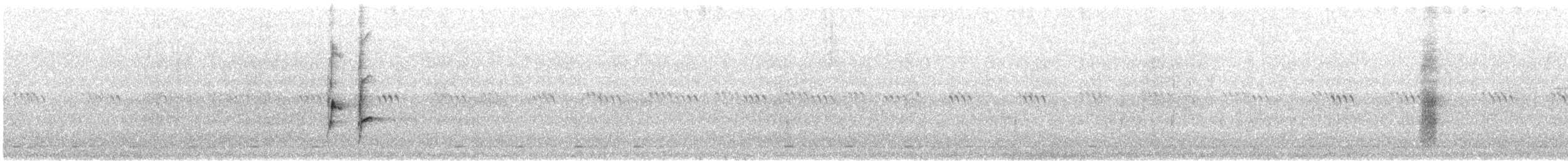 Kara Karınlı Sığırcık - ML618899160