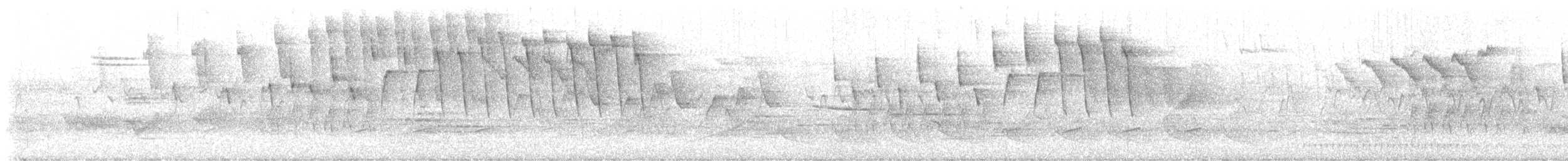 Tennesse Ötleğeni - ML618899638