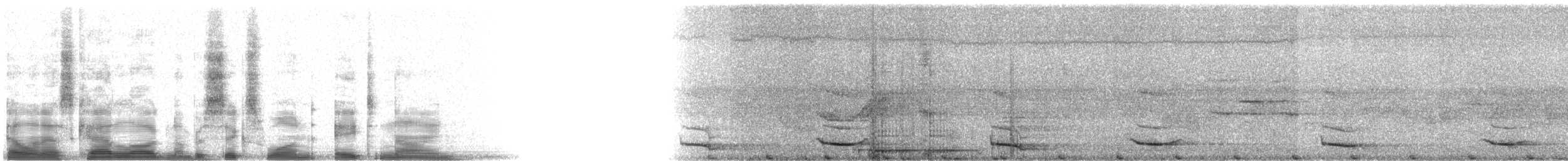 Resplendent Quetzal (Guatemalan) - ML6189