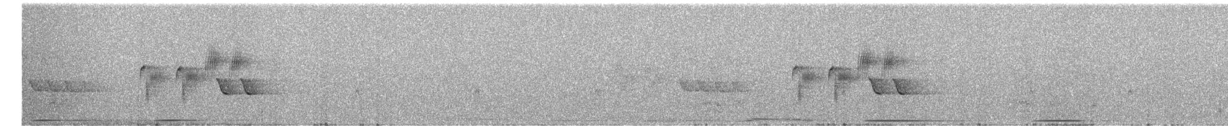 Тауї плямистий - ML618900590