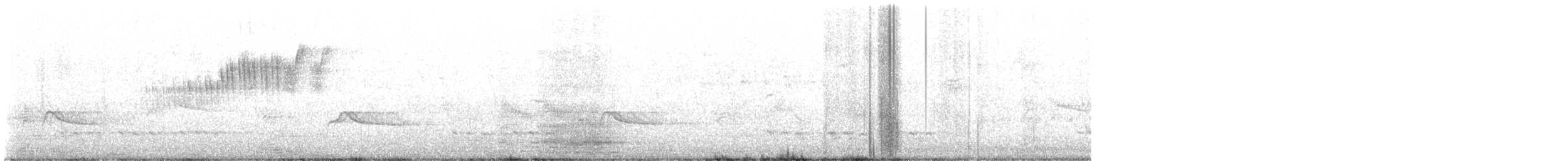 Northern Parula - ML618900779