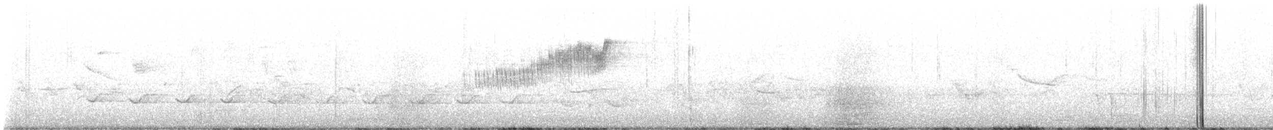 Northern Parula - ML618900780