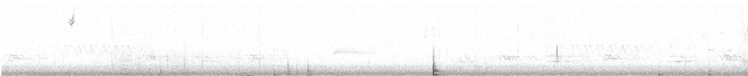 Paruline à croupion jaune (coronata) - ML618901078