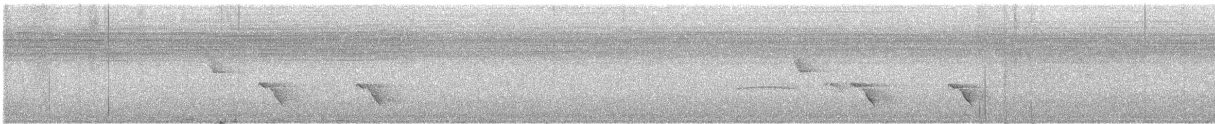 Тиранчик-тонкодзьоб південний - ML618901933
