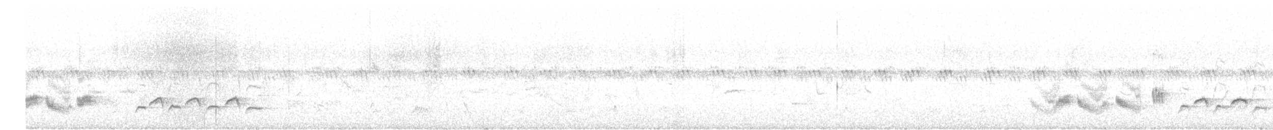 Mendebaldeko zozo-txinboa - ML618904637