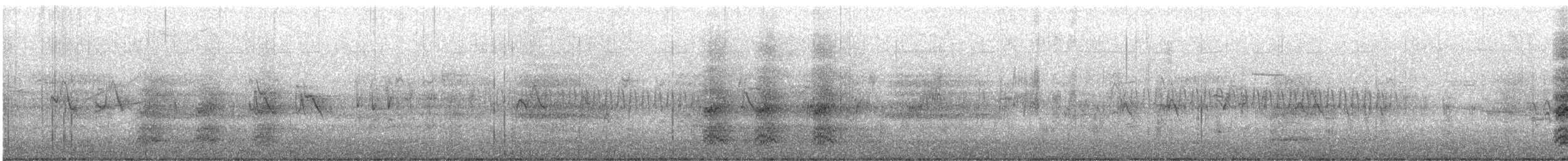 Pine Siskin - ML618904668