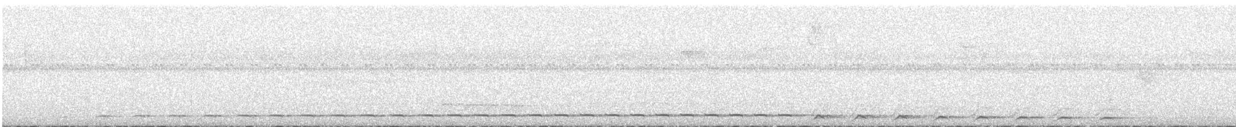 Streifenbrust-Ameisendrossel - ML618908682