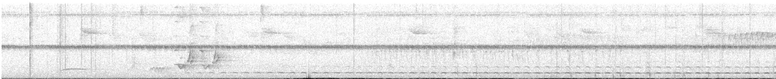 Short-tailed Antthrush - ML618909199