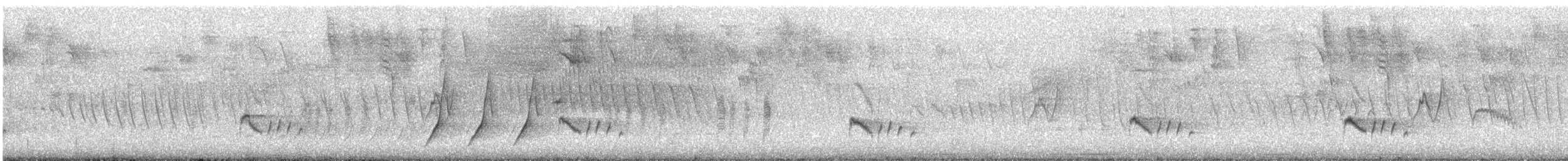 Loggerhead Kingbird - ML618910471